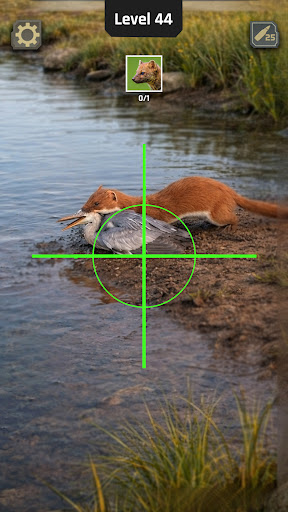 Animal Hunter: Wild Shooting screenshot 14
