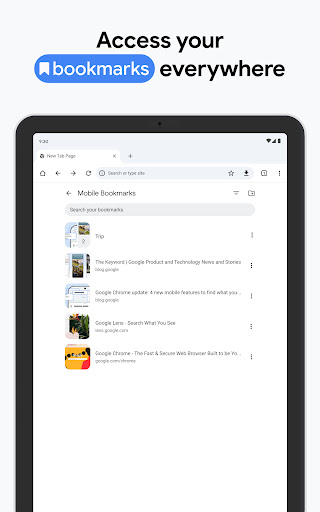 Chrome Beta screenshot 16
