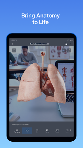 VOKA 3D Anatomy and Physiology screenshot 3
