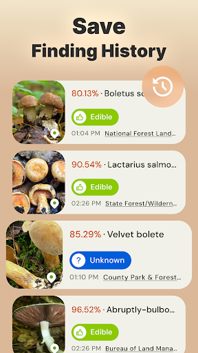 Mushroom Identification screenshot 16