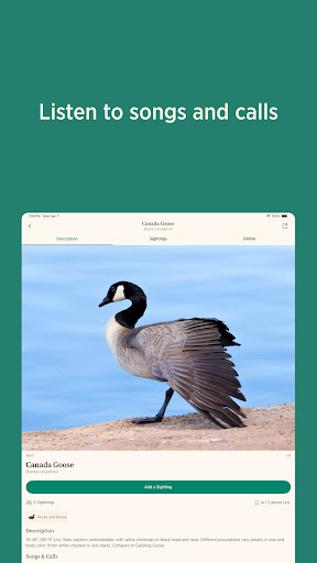 Audubon Bird Guide screenshot 4