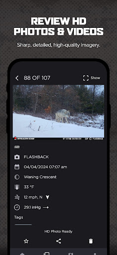 Command screenshot 2