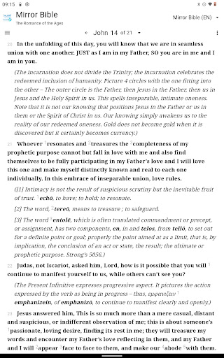 Mirror Study Bible screenshot 7