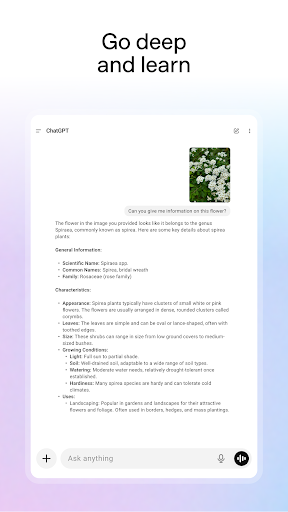 ChatGPT screenshot 15