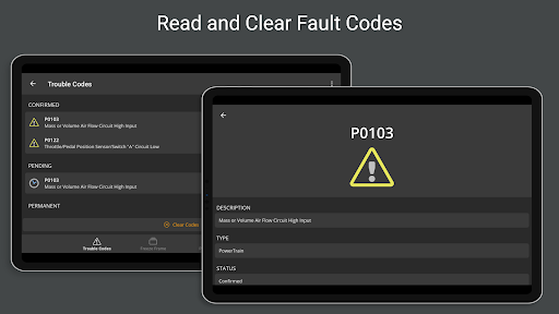 OBD Fusion (Car Diagnostics) screenshot 19