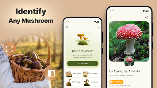 Mushroom Identification screenshot 1