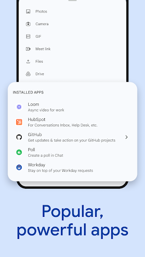 Google Chat screenshot 5