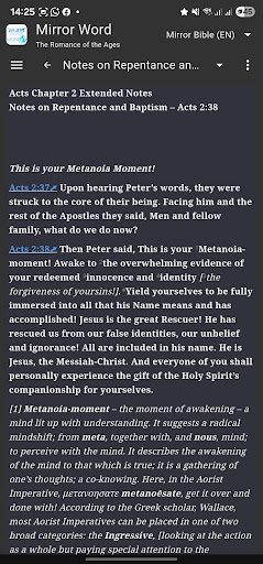 Mirror Study Bible screenshot 8