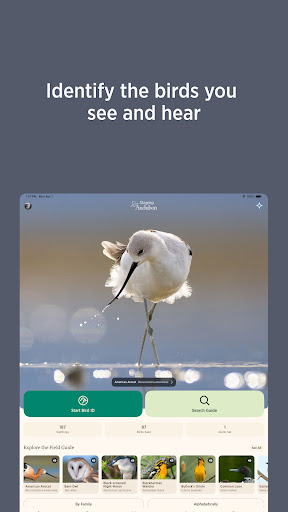 Audubon Bird Guide screenshot 9