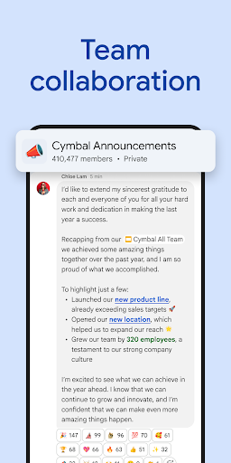 Google Chat screenshot 2