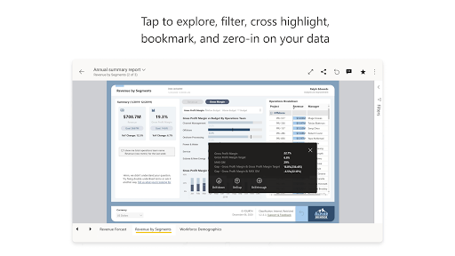 Microsoft Power BI screenshot 3