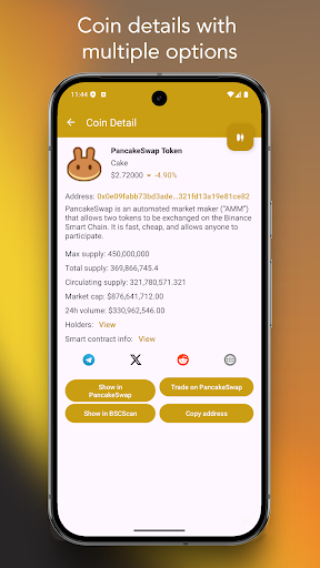 Binance Smart Chain Explorer screenshot 10