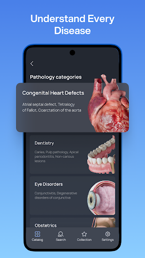 VOKA 3D Anatomy and Physiology screenshot 14