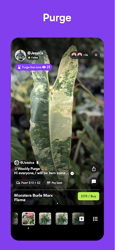 Palmstreet: Buy & Sell LIVE screenshot 14