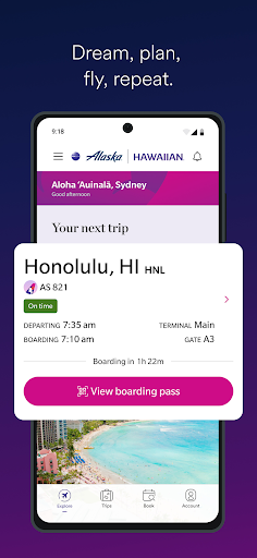 Alaska Hawaiian screenshot 5