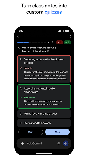 Google Gemini screenshot 1
