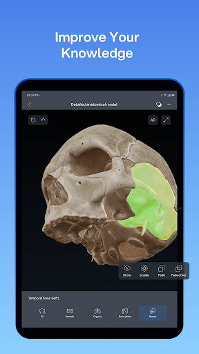 VOKA 3D Anatomy and Physiology screenshot 9