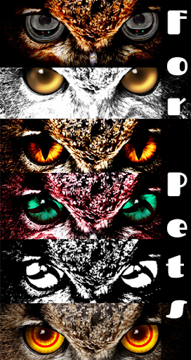 FoxEyes - Change Eye Color screenshot 18