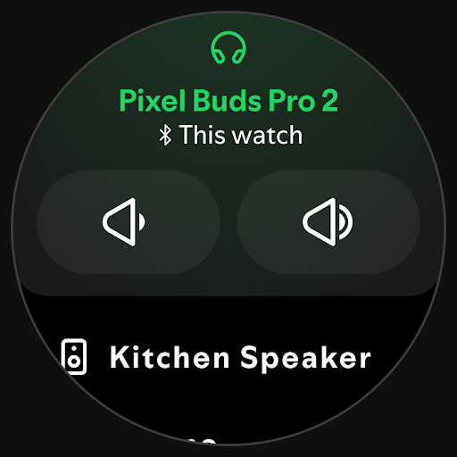 Spotify: Music and Podcasts screenshot 28