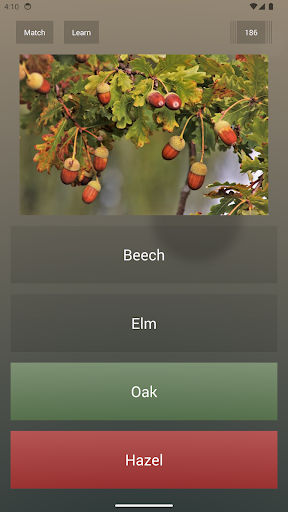 Endless Quiz Pro screenshot 4