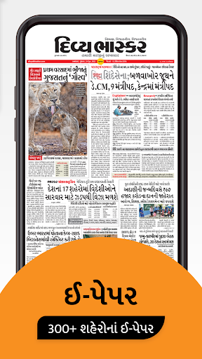 Gujarati News by Divya Bhaskar screenshot 23