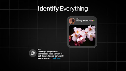 AI Chatbot - Nova screenshot 29