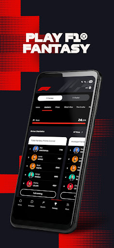 Formula 1® screenshot 14