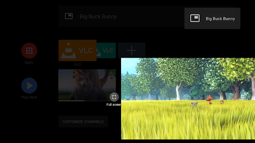 VLC for Android screenshot 22