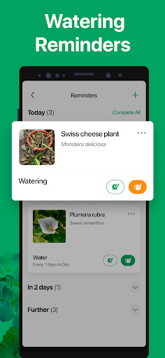 PictureThis - Plant Identifier screenshot 7