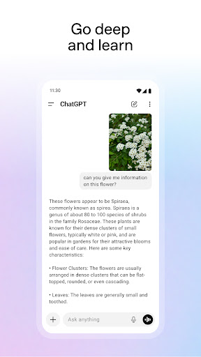 ChatGPT screenshot 2