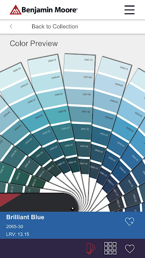 Color Portfolio screenshot 4