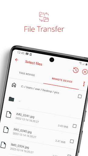 AnyDesk Remote Desktop screenshot 2