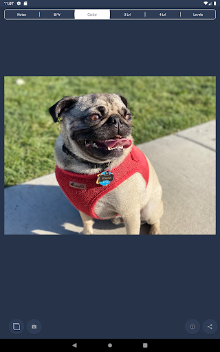 NotanIzer screenshot 11