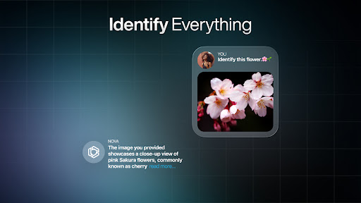 AI Chatbot - Nova screenshot 21