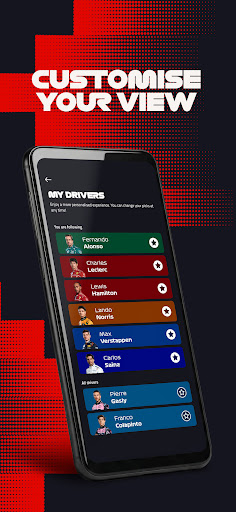 Formula 1® screenshot 12