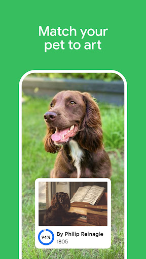 Google Arts & Culture screenshot 4