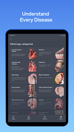 VOKA 3D Anatomy and Physiology screenshot 21