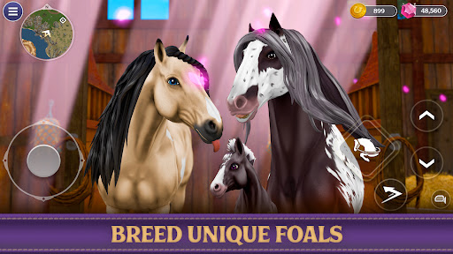 Star Equestrian - Horse Ranch screenshot 4