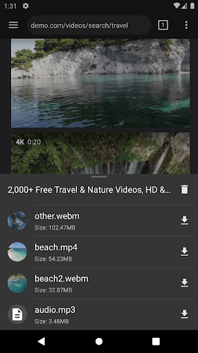 Video Downloader Pro screenshot 9