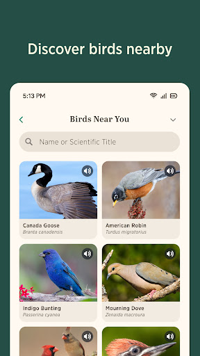 Audubon Bird Guide screenshot 15