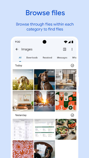 Files by Google screenshot 4