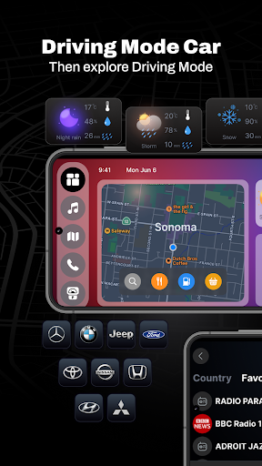 CarLink - Car Play Connect screenshot 20