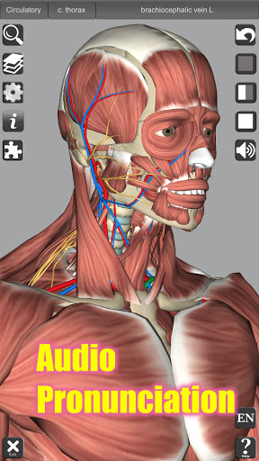 3D Anatomy screenshot 22