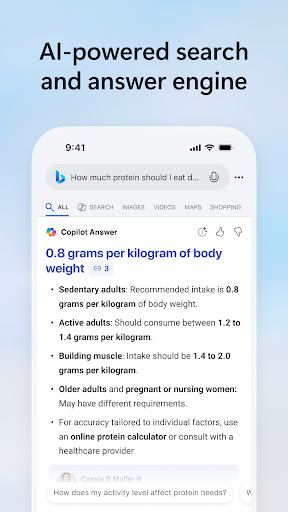 Microsoft Bing Search screenshot 2