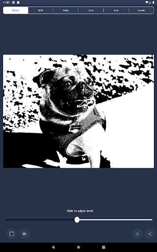 NotanIzer screenshot 13