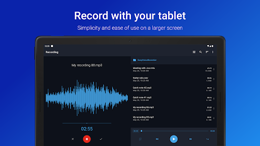 Easy Voice Recorder Pro screenshot 14