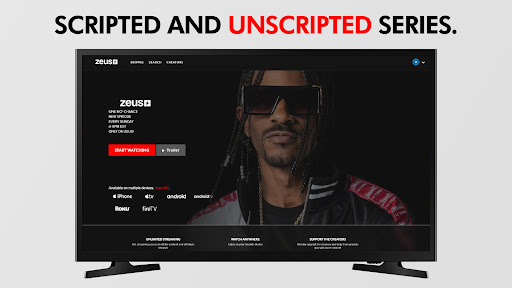 Zeus screenshot 2