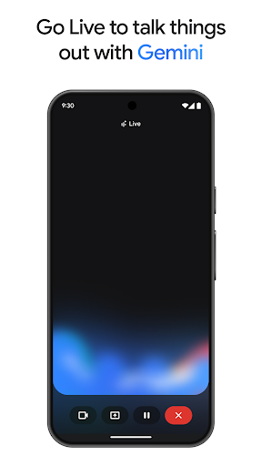 Google Gemini screenshot 8