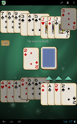 Gin Rummy Pro screenshot 14