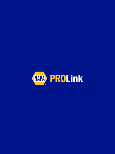 NAPA PROLink screenshot 10